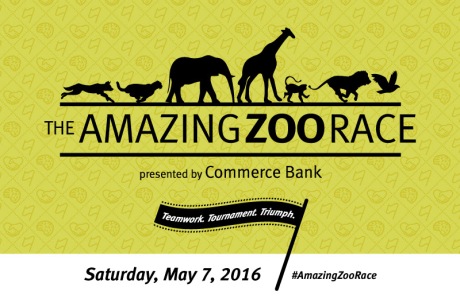 the amazing zoo race 2016